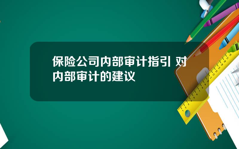 保险公司内部审计指引 对内部审计的建议